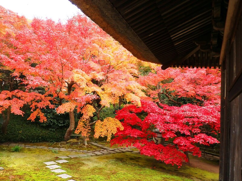 谷戸に包まれたお堂で静かに紅葉を愛でて