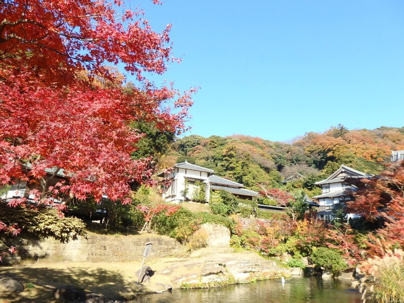 モミジ彩る妙香池
