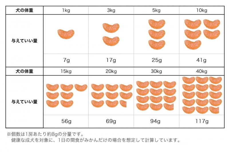 犬undefinedみかんundefined食べて良いundefined量undefined病気undefined薬undefined食べ合わせ