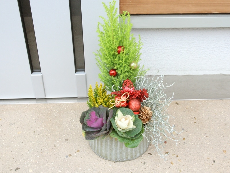 寄せ植えでクリスマス