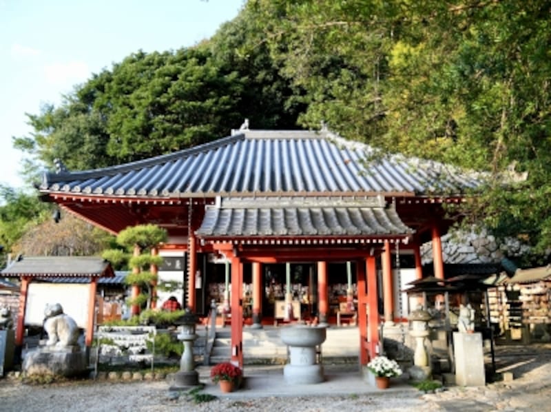 徳島,お松大権現,境内