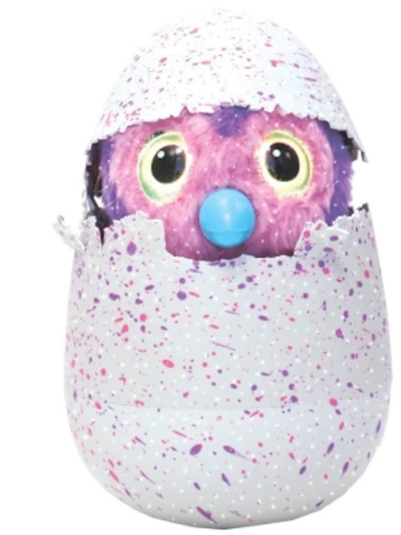 殻をパリパリとつついてゆっくりふ化する姿に感動！