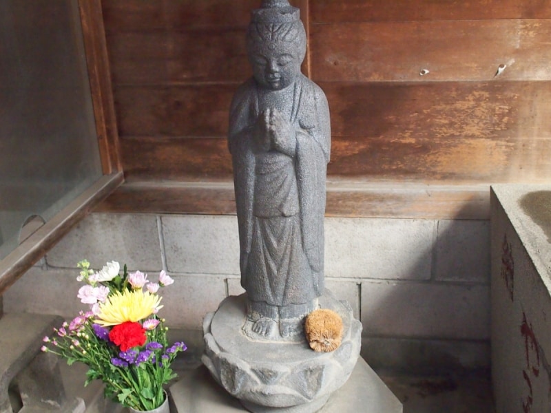 体の悪い部分に水をかけてたわしでこするとよくなると言われている