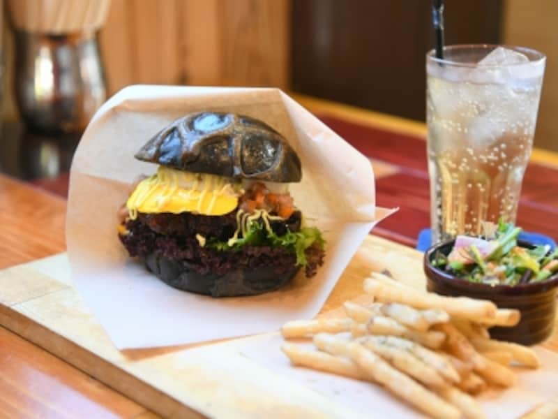 徳島,ウミガメバーガー,odori