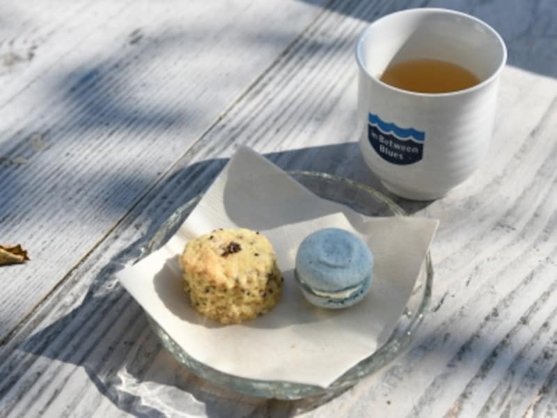 藍染スタジオ,藍,マカロン,海陽町