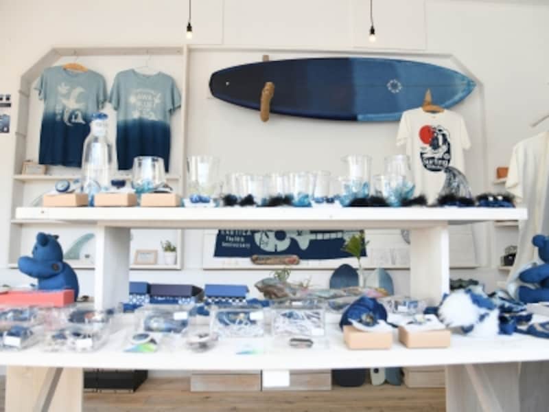 徳島,藍,海陽町,スタジオ