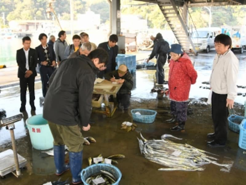 徳島,宍喰漁協,入札体験