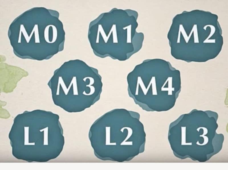 シュットundefinedインティメイツ