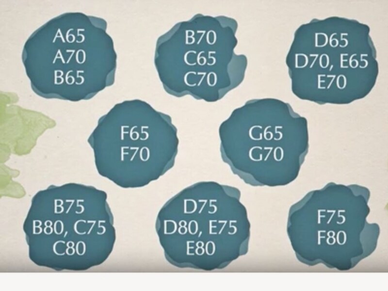 シュットundefinedインティメイツ