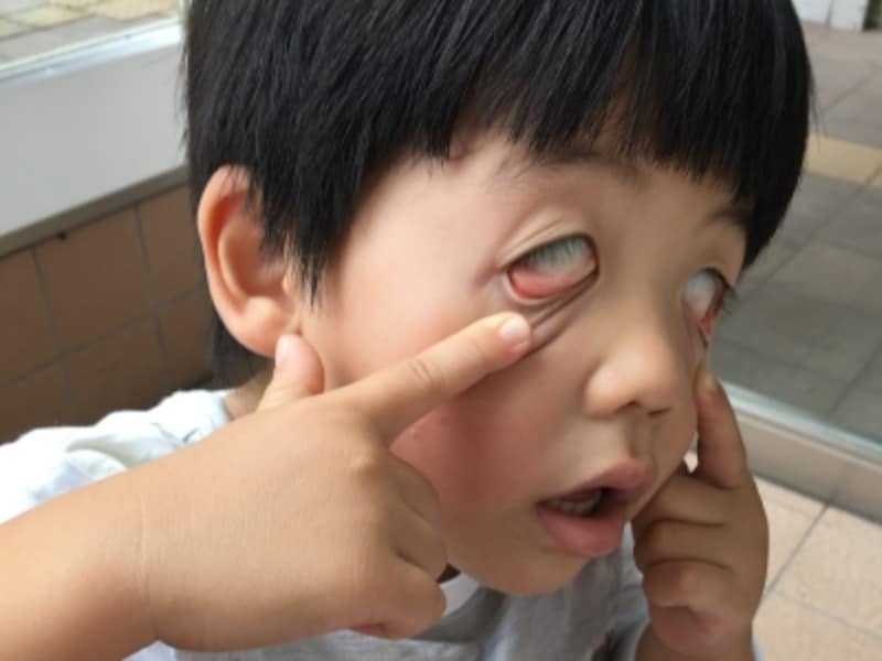 ヤレヤレといったところです