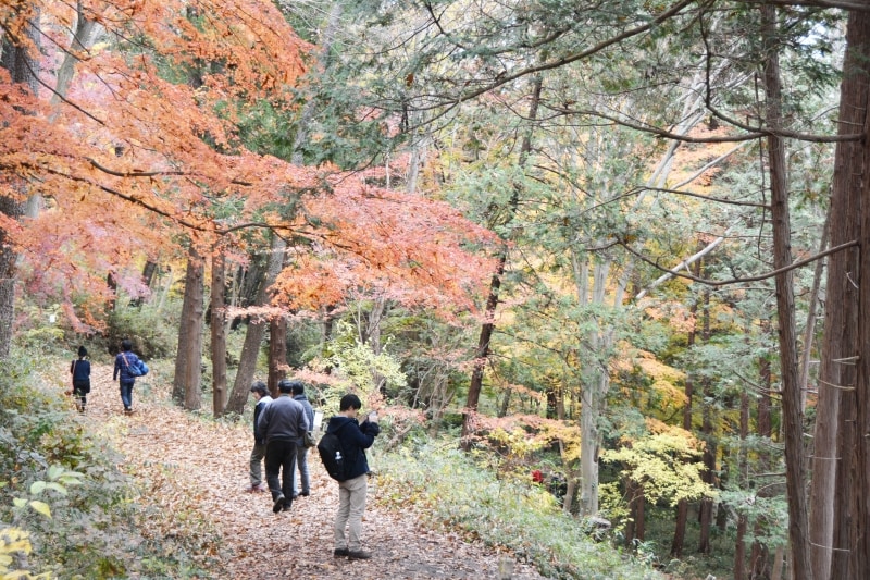 整備が行き届いた嵐山渓谷の遊歩道