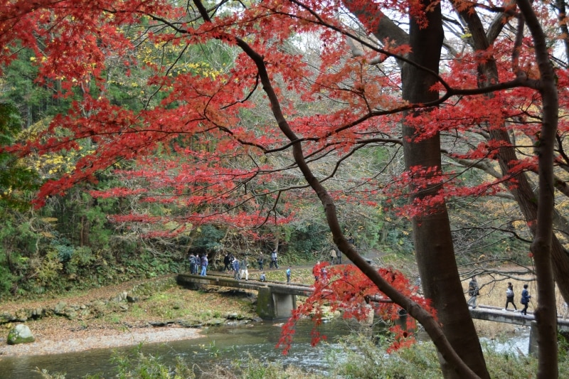 渓谷の先に架かる冠水橋