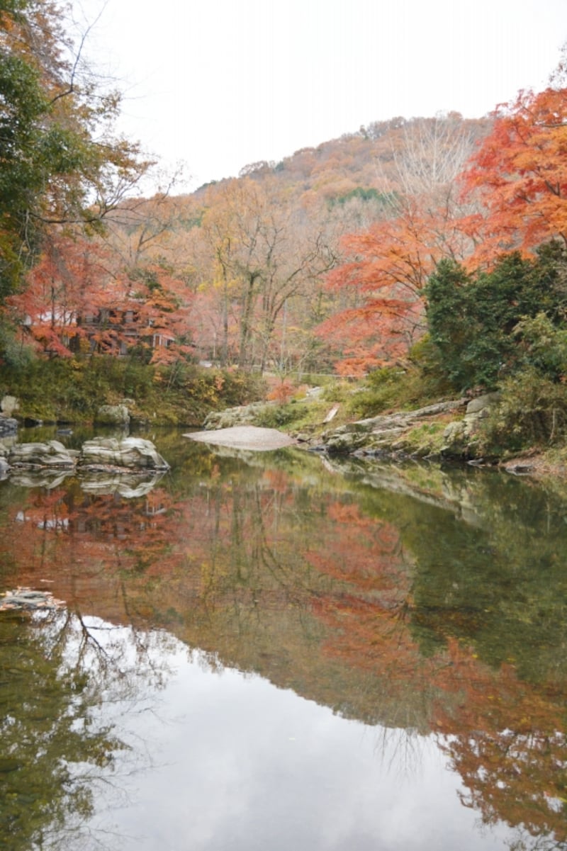 槻川の水面に映りこむ紅葉