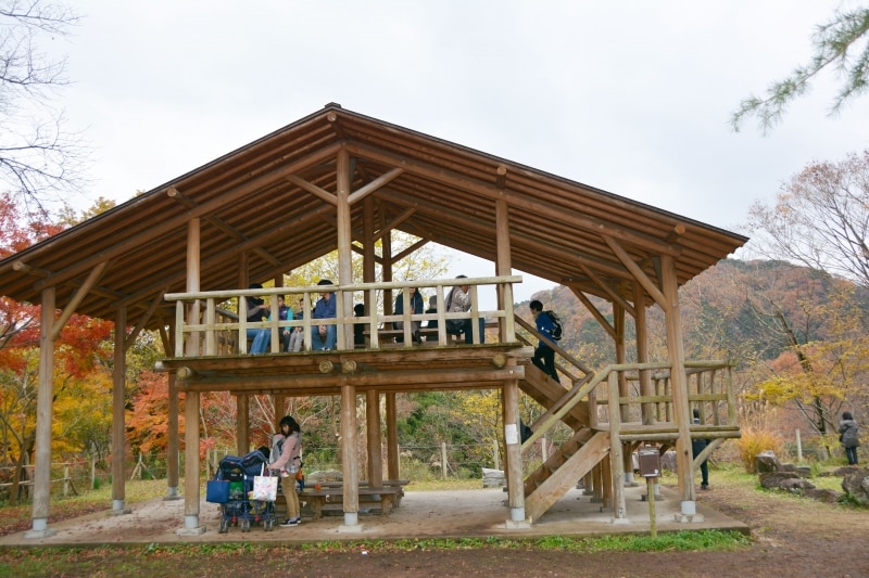 開けた視界で渓谷を眺め下ろすことができる展望台