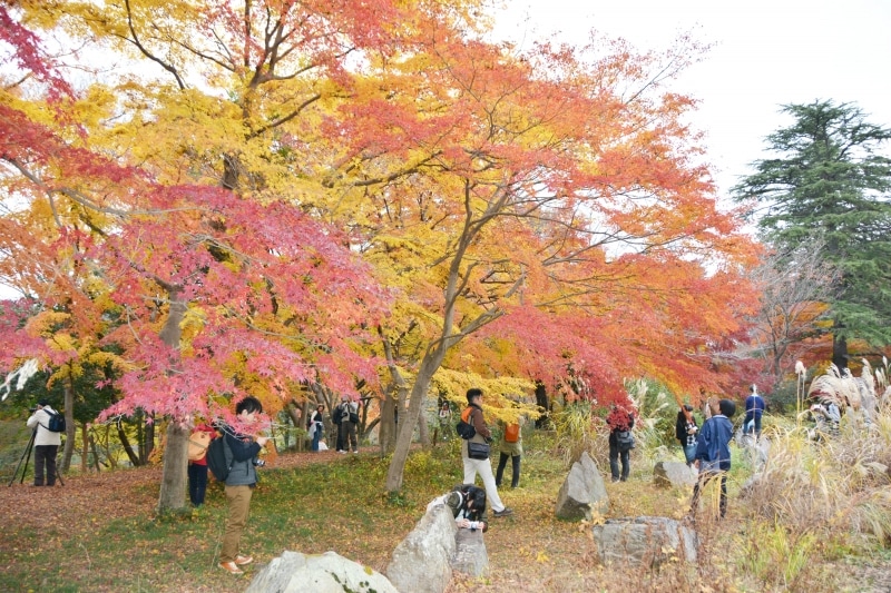 自然公園のような展望台周辺