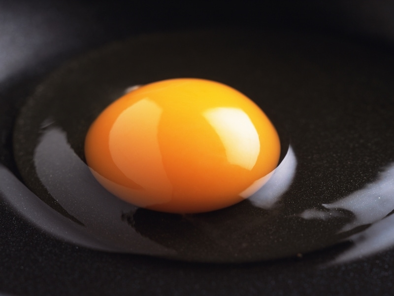 卵,黄身,カロテノイド