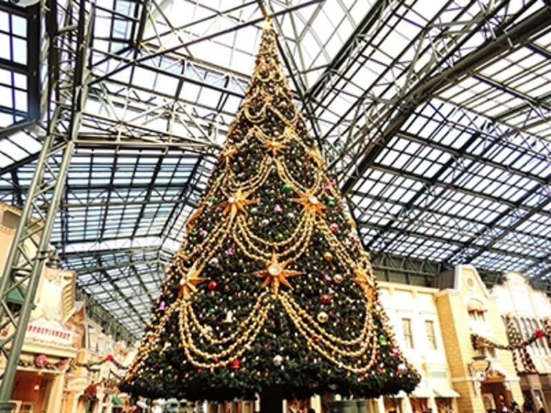 クリスマスツリー