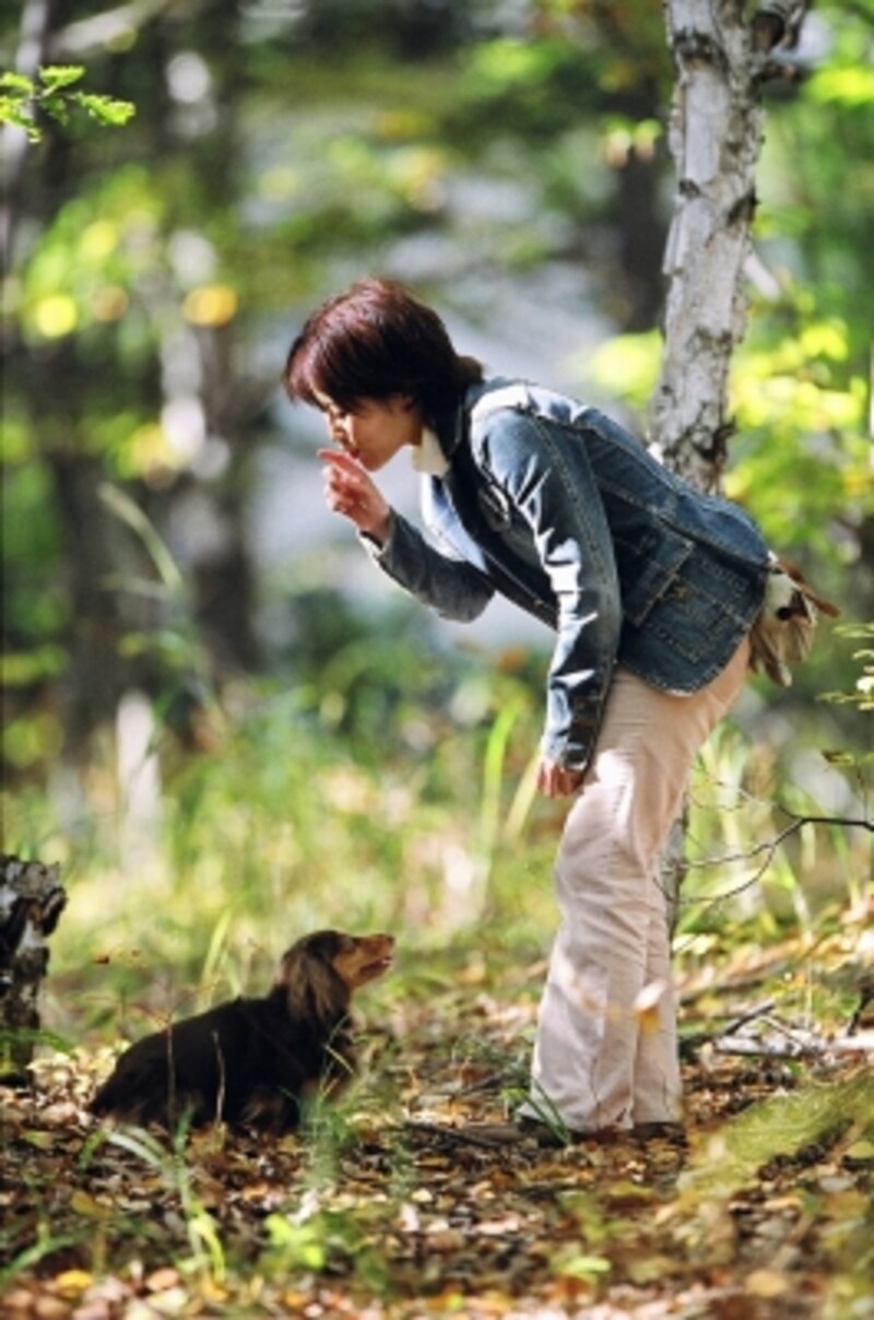 犬の表現を読み解くことが絆を深めるポイント!