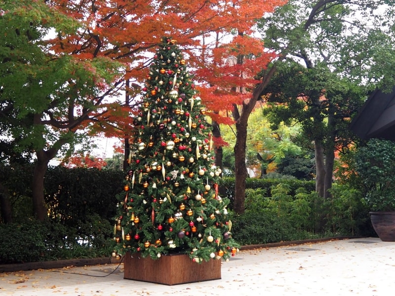 この日は師走に入ってすぐの大安だった