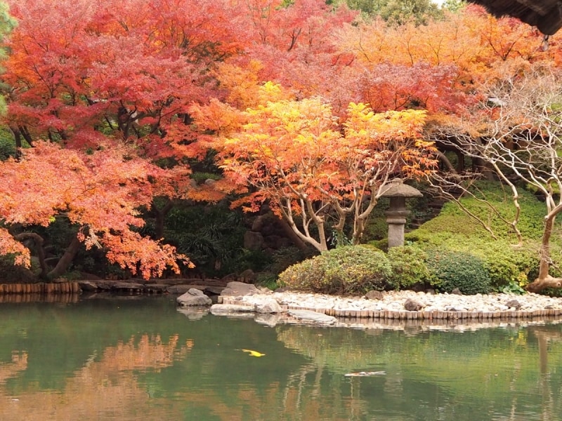 水面に映る紅葉もまた美しい