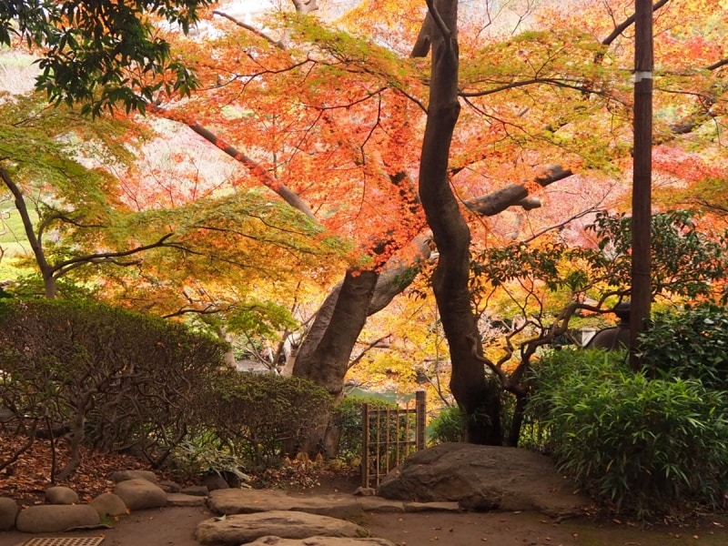 「八芳園」としては1950年（昭和25年）に創業
