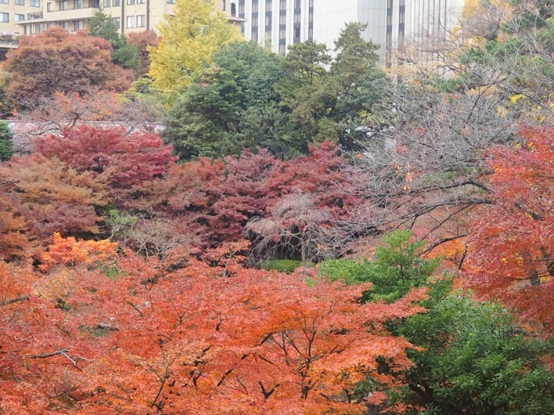 桜の季節もおすすめ！