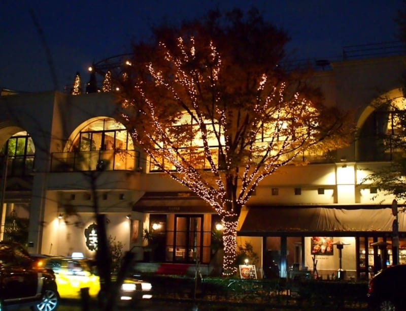 陽が落ちてイルミネーションが美しい