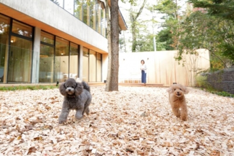 ドッグランでは犬同士・飼い主同士で交流を深めたい