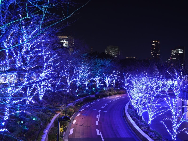 歩道橋から見たスターライトロード