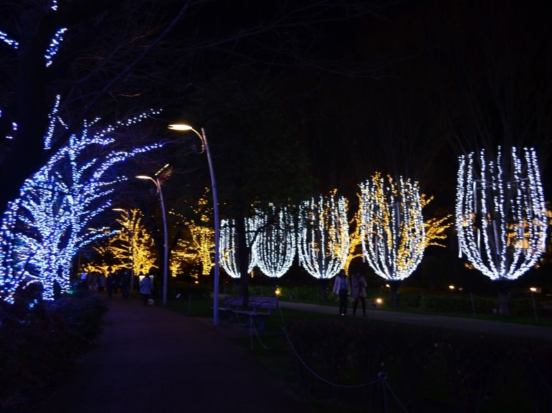 シャンパン・イルミネーション