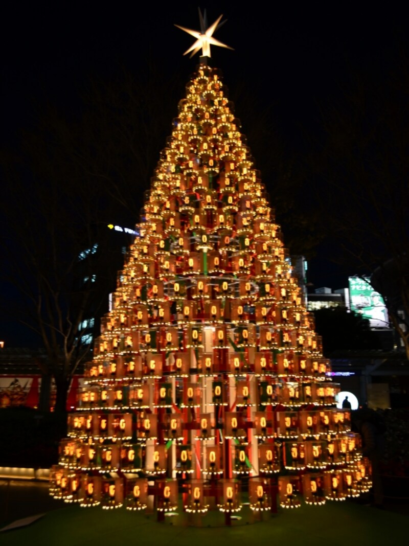 ６６プラザのシンボルツリー