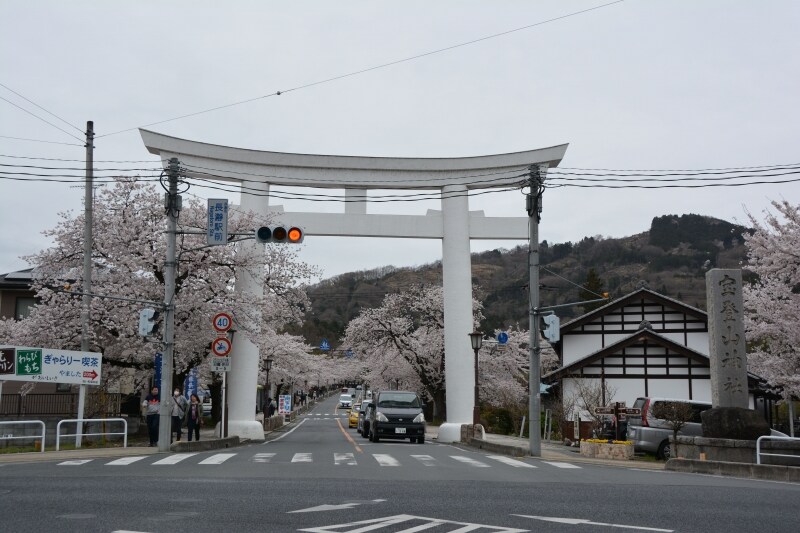 春には薄紅色の桜が彩る一の鳥居からの参道