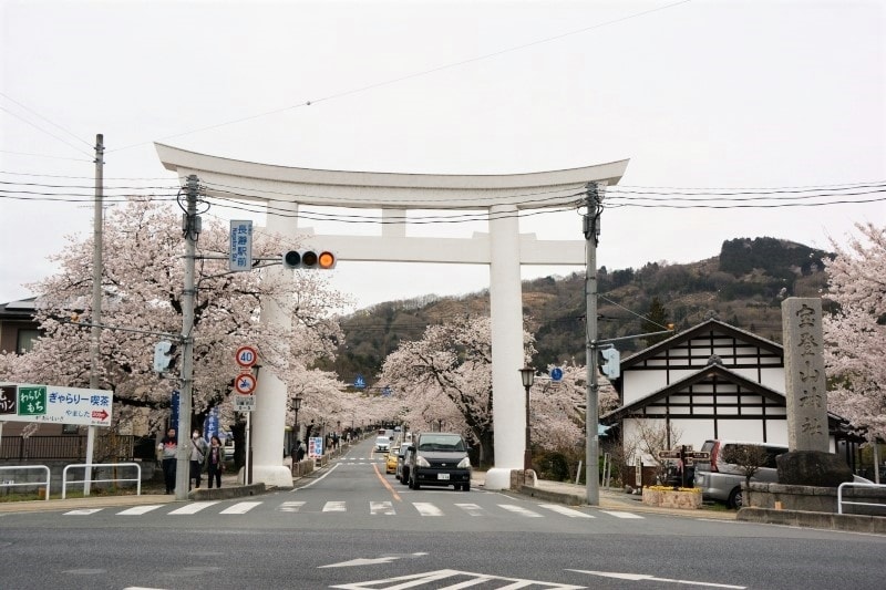 春には薄紅色の桜が彩る一の鳥居からの参道