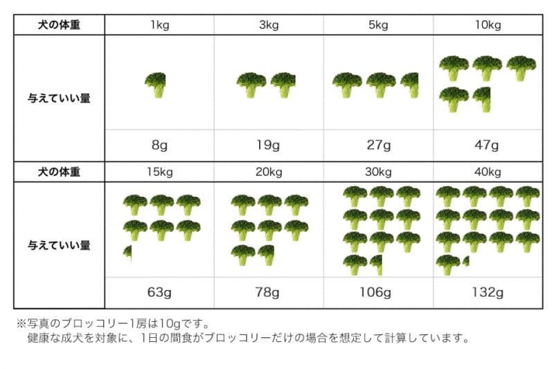 犬undefinedブロッコリーundefined食べて良いundefined量undefined病気undefined薬undefined食べ合わせ