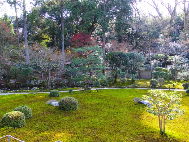 庭園