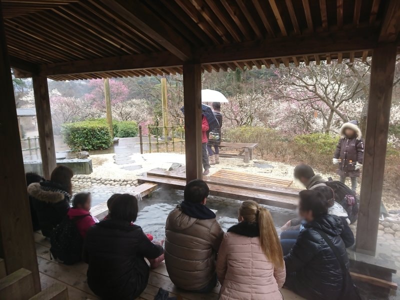 熱海梅園の梅（6）／足湯からの眺め