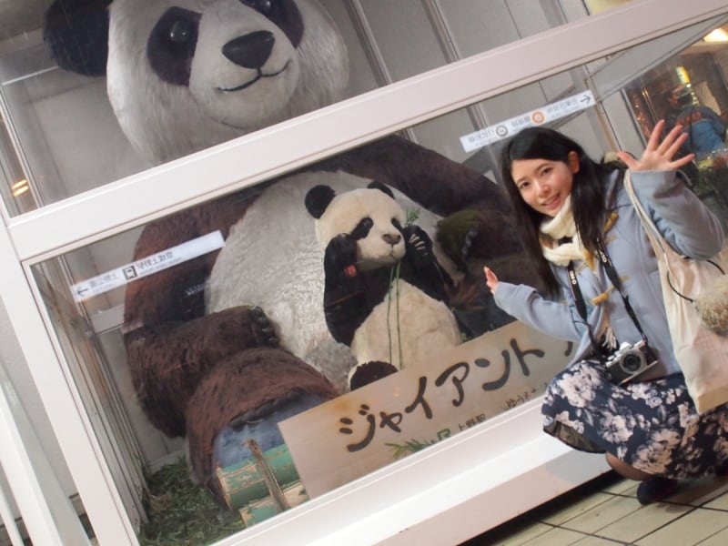 浅草から上野の道中でパンダ発見！