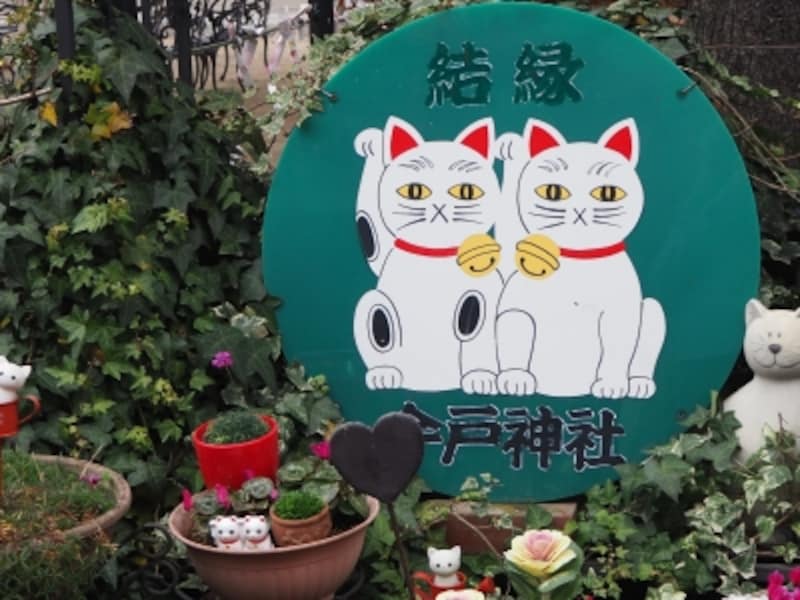 浅草のかわいい御朱印をいただける神社には招き猫モチーフのじょうろが無数にある