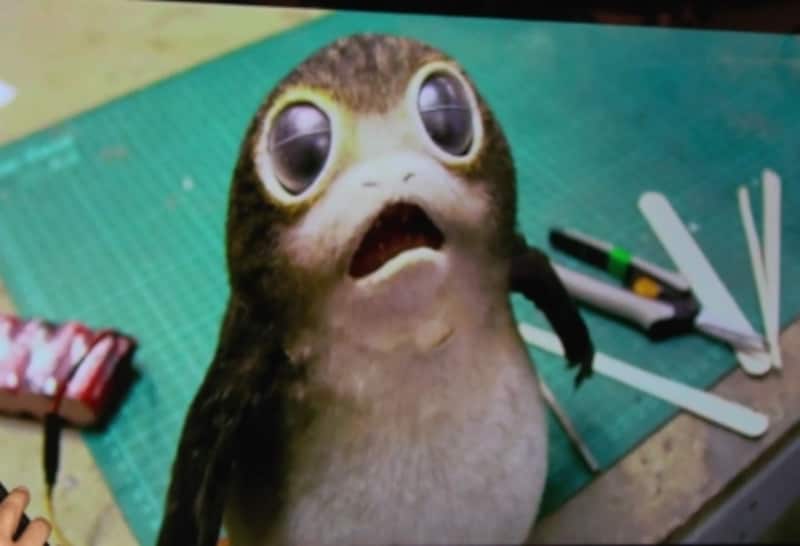 ポーグに似ている……？