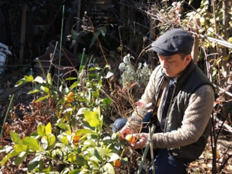 星野太郎さん。工房に面した菜園で。