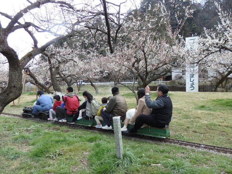 園内を一周するミニSL
