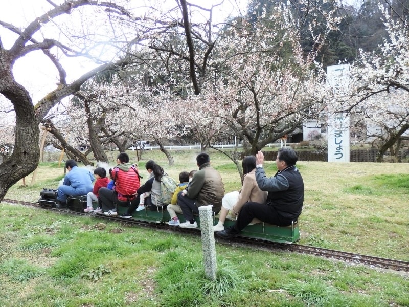 園内を一周するミニSL