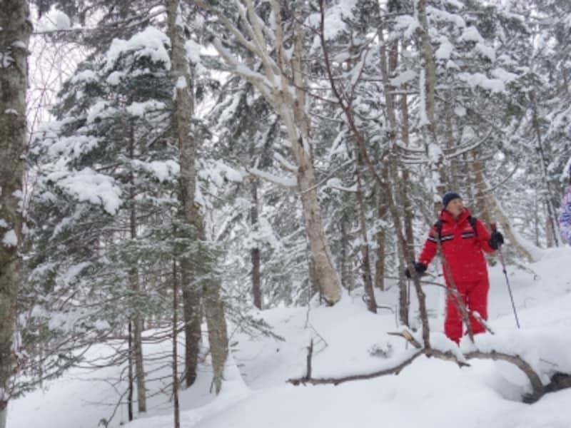 スノートレッキング