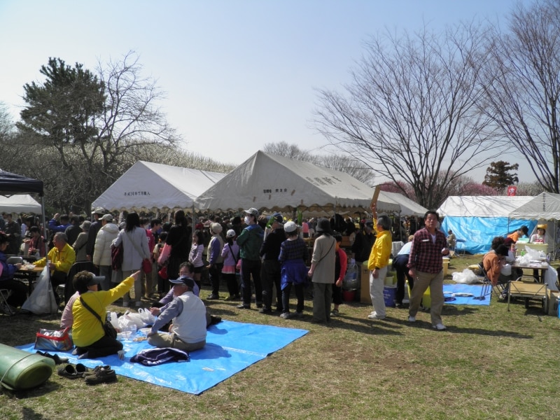 越谷梅林公園中央の広場