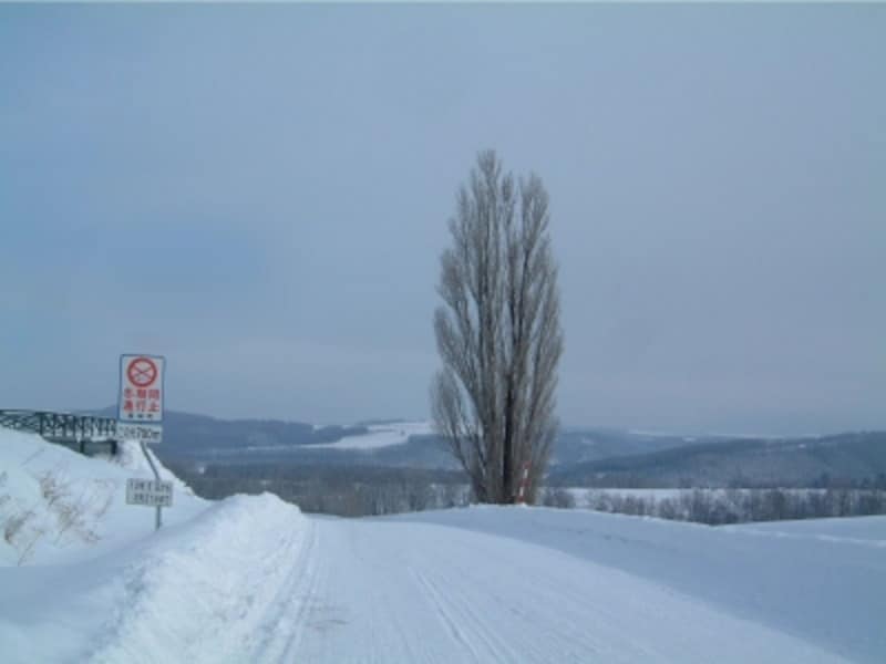 記憶に残る雪景色 美瑛 美馬牛の冬旅観光スポット 名所 旧跡 All About 記憶に残る雪景色 美瑛 美馬牛の冬旅観光スポット 名所 旧跡 All About