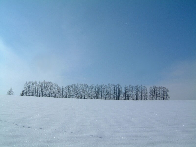 マイルドセブンの丘の冬