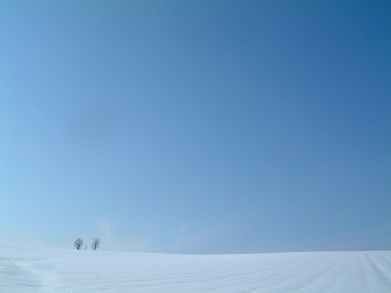 親子の木の冬（1）