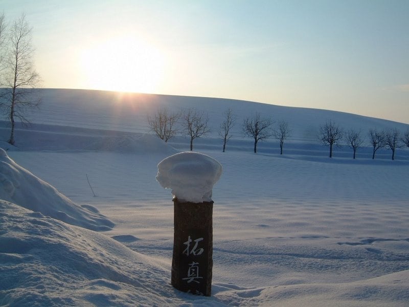 拓真館近くの雪の風景
