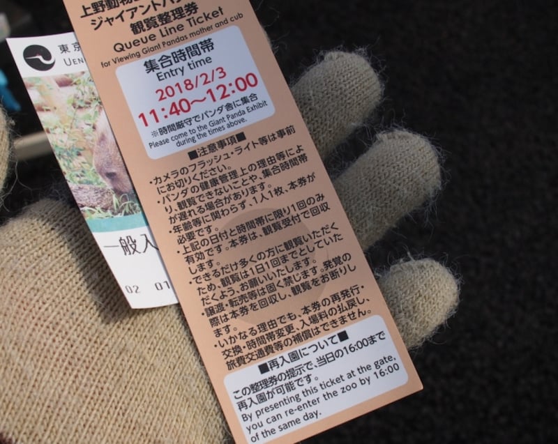 いろいろな注意書きもあるので読んでおこう