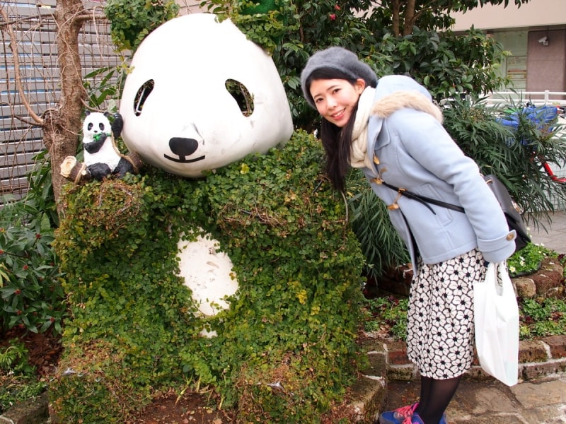 シャンシャンが加わっている